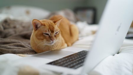(第3回)AutoCAD Tips 作図編①