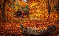 (第8回)おすすめツール紹介⑧